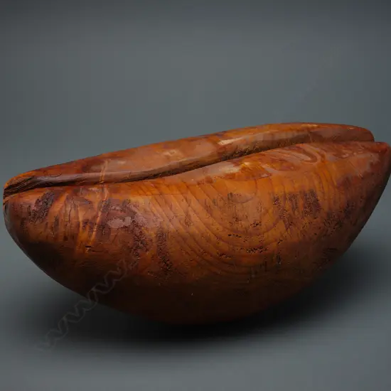 John Ioane (1962-), 'Seed/shell/pod',
